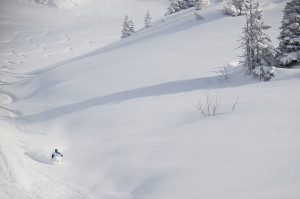 Blue skies and DEEP powder.